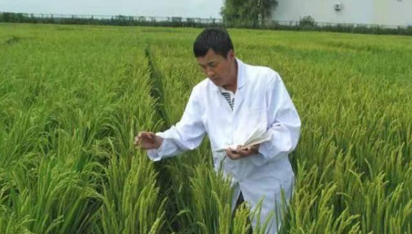 1637910626250498.png image.png